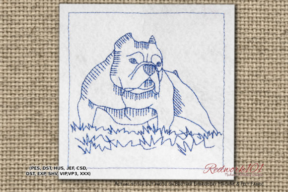 American Bully Dog Design Review