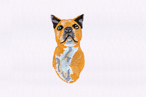 Smug Dog Design Review